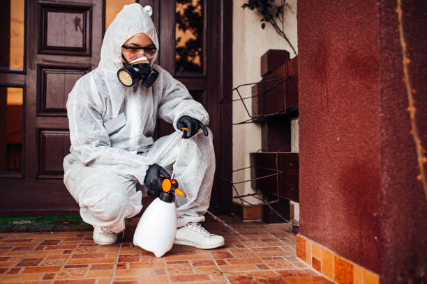 Perimeter Barrier for American Cockroach in Dickson